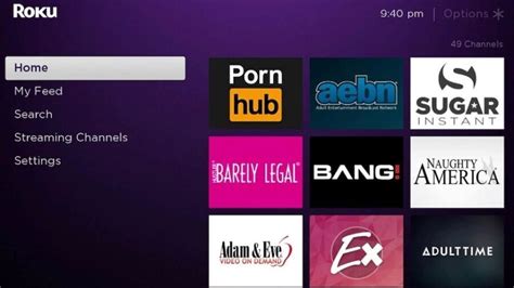 roku porn apps|How to Find (and Add) Porn Channels to Your Roku